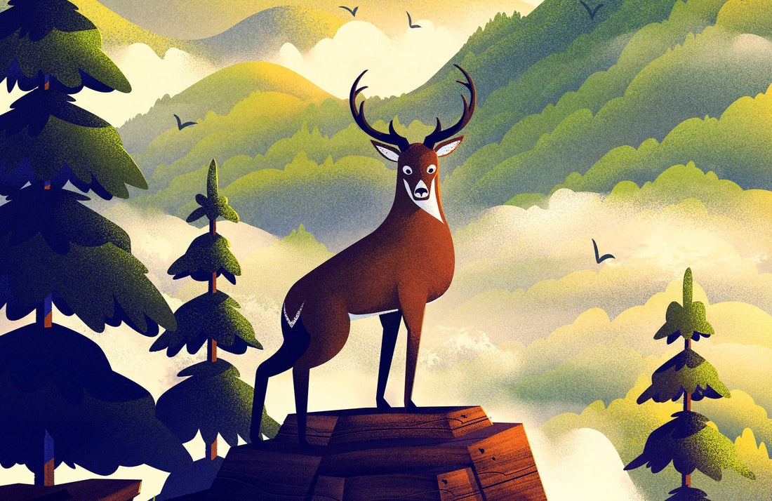 Shenandoah National Park Poster (Deer)