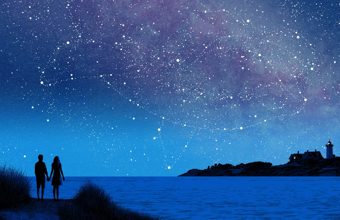 Right Whale Poster (Cape Cod)